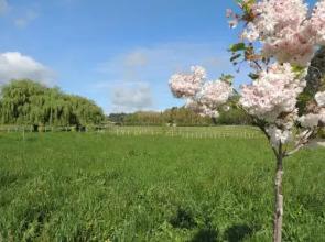 Essene Country Lodge