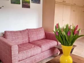 1-Zimmer-Apartment-2-Hochparterre