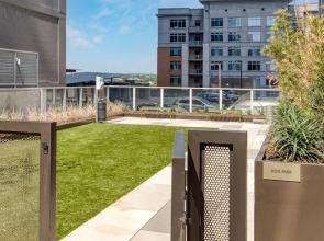 Mohawk by Avantstay Brand New Condo Room in Austin w/ Amazing Amenities!