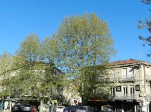 Montpellier Central Studio