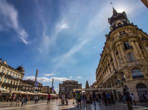 T2 - Moderne et culturel - La Conciergerie Martinkey's