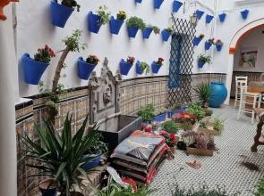 Arc House Mezquita - Adults Only