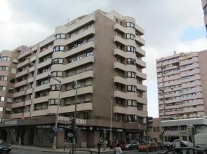 Orange Tree T1 - 81194AL