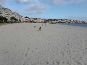 Apartamento Carreira Sada