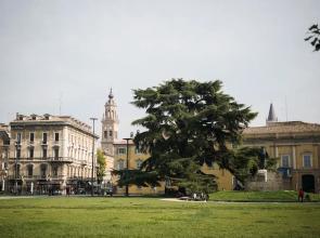 Piazza Ghiaia Lovely Apartment