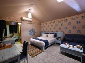 Kamnath Zinc Journey by The Fern