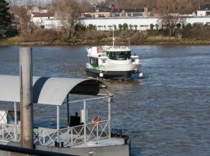 Chambre D'hote en Bord de Loire