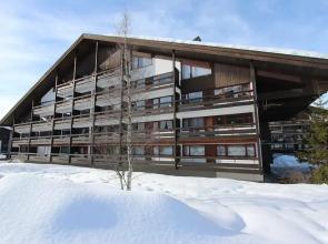 Birkenwald Seefeld in Tirol