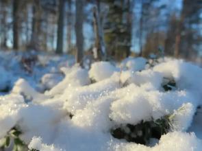 Lapland Getaway - Hostel