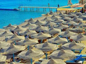 Sharks Bay Hotel & Padi Butterfly