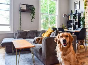 1 Bedroom Flat Close to Clapton Station