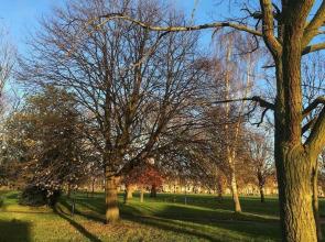 Bright Flat With Hackney Park Views