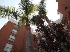 Tarracohome Imperial