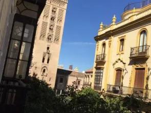 Apartamento Plaza Nueva