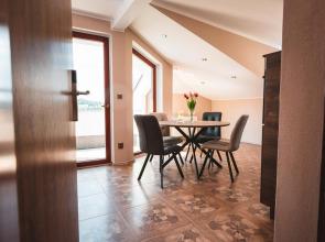 POINT flat, beautiful view from terrace to Prague Castle