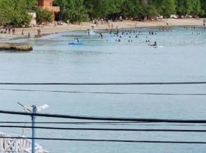 The Seaside Garden Guesthouse