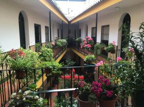 Cosy Apartment with Terrace in the Centre of Seville