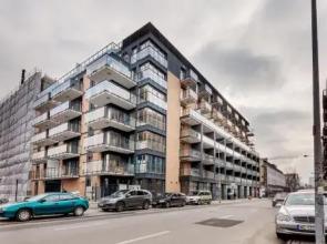 Millennium Manufaktura Green