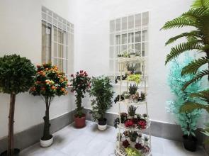 Apartamento exterior con patio en Bellas Vistas con A/C y WiFi FRG1