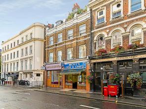 Contemporary Oasis in Paddington III