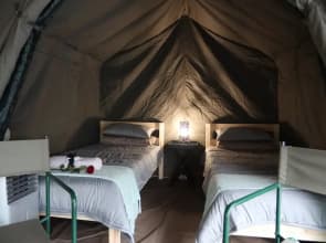 Kruger Park Tours