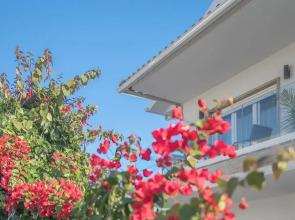 Gold Coast Photography Inn