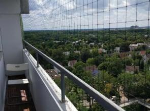 HAUSBURG studio. City view