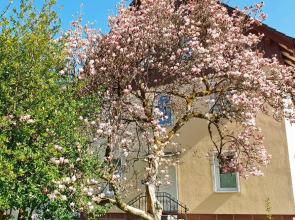 Liebevoll Gästewohnungen