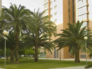 Apartamentos Plaza Picasso