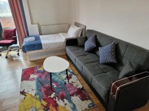 Immaculate 1-bed Apartment in London