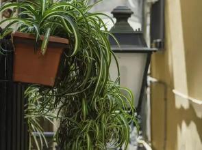 La Casa degli Angeli B&B