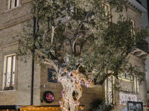 B&B Palazzo Storico Di Nicola