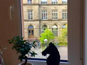 Altbauwohnung im Herzen von Karlsruhe