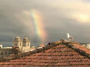 Oporto Center Clean & Cozy Apt 4