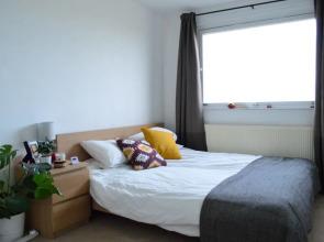 Spacious 1 Bedroom Apartment in Homerton