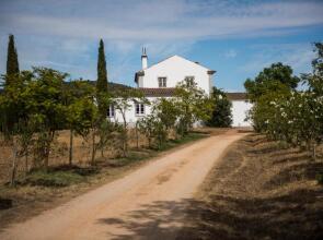 Herdade dos Alfanges "THE BARN"