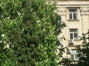 Apartments next to Opera