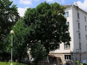 Apartments on 17 Myasnikova Street