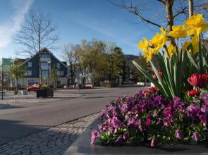 Tom's Ferienappartements Appartment 2