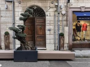 Casa Cavour - Luxury Apartment