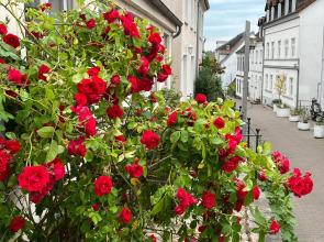 Ferienwohnung Frieda