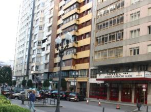 Acebos Azabache Gijón