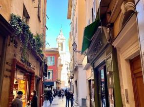 Havre de paix en plein centre ville