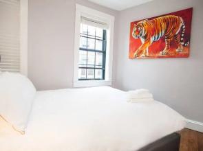 Boston Back Bay Brand New Condo Sleeps 8