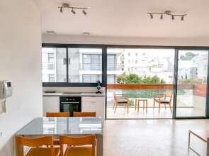 Kalisher Ophrys in Tel Aviv-yafo