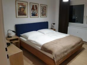 Appartment Zentrum Wels