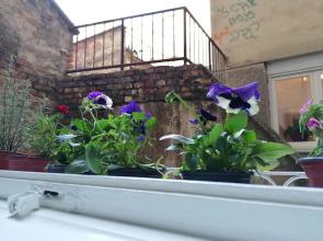 Central location for you