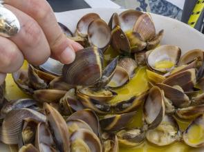 K - Bedroom 10 in Sailorway Guesthouse