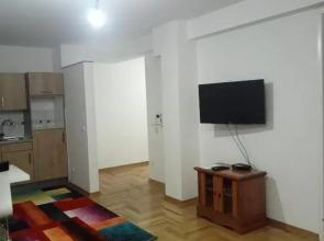 Apartments near the airport 1984