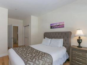 Evolve Fenway Diamond